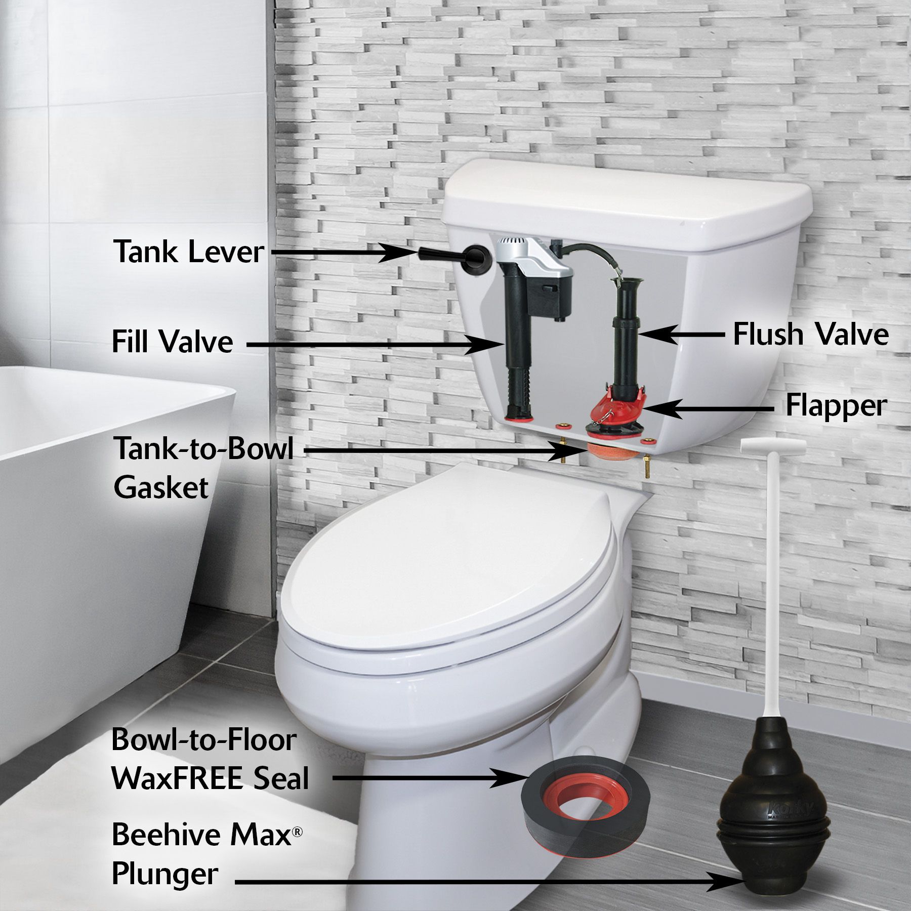 Toilet Bowl Anatomy